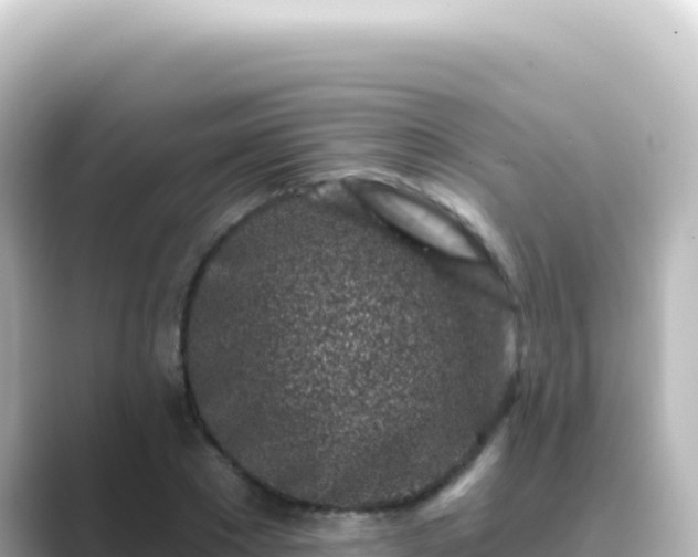 X0000089440881200706221227