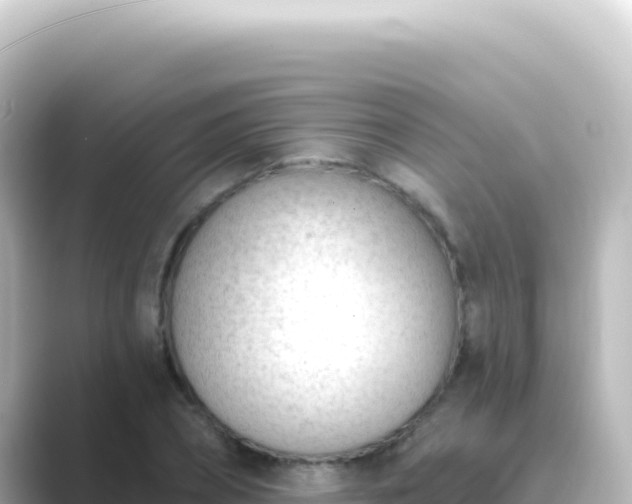 X0000089440882200706221227