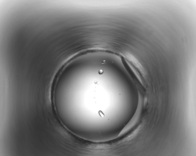 X0000089440884200706221227