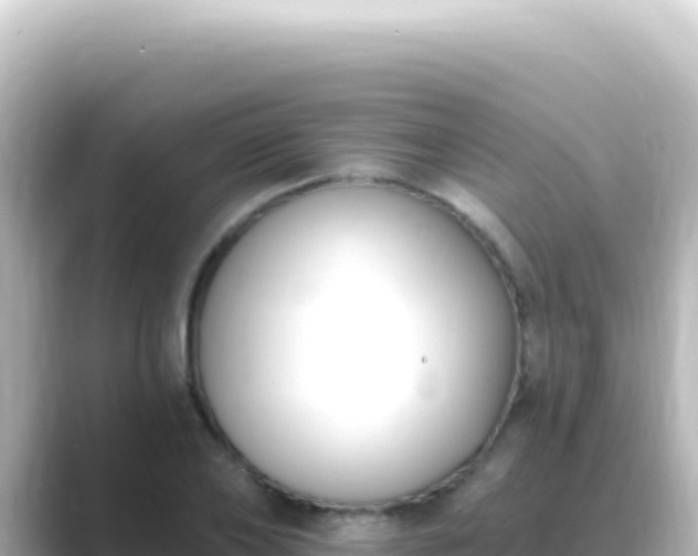 X0000089440886200706221227