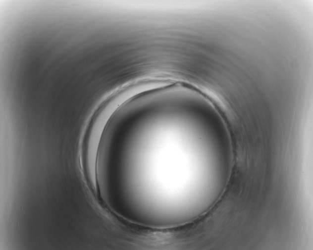 X0000089440888200706221227