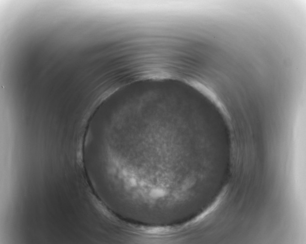 X0000089440889200706221227