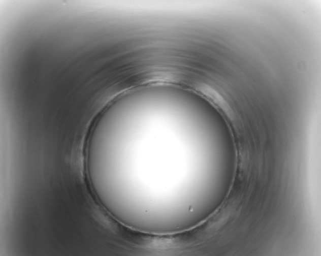 X0000089440890200706221227
