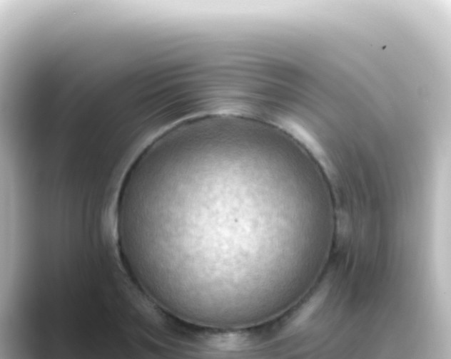X0000089440891200706221227