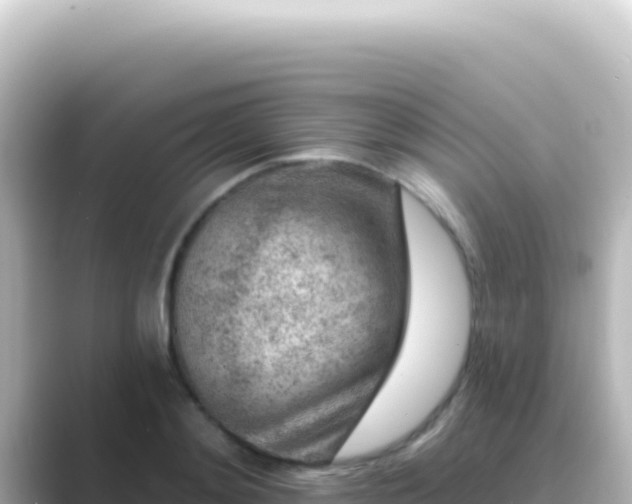 X0000089440892200706221227