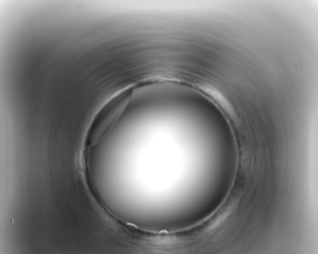 X0000089440893200706221227