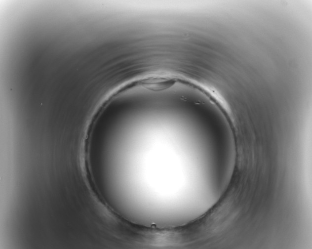 X0000089440895200706221227