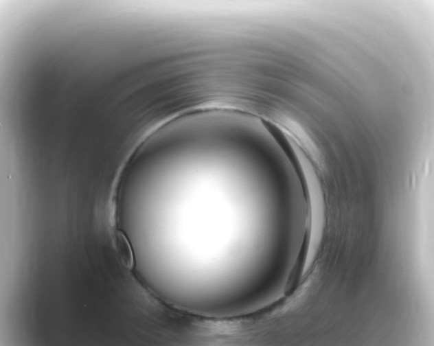 X0000089440900200706221227