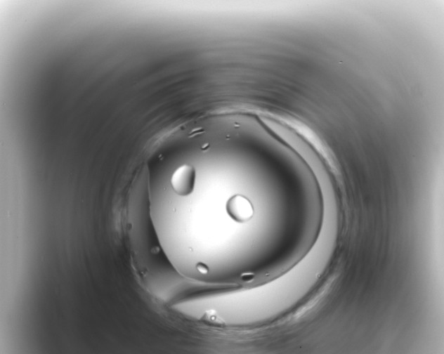 X0000089440905200706221227