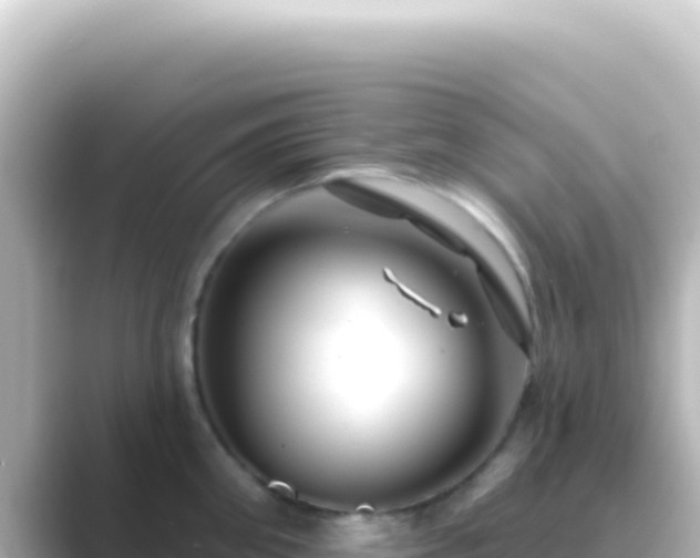 X0000089440906200706221227