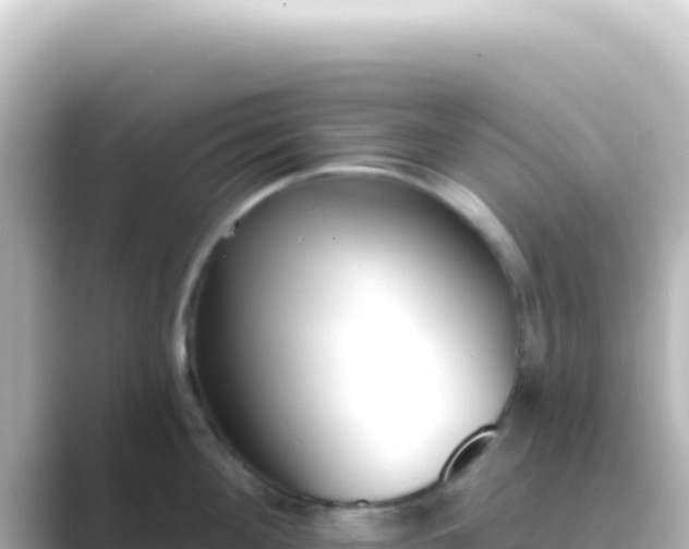 X0000089440908200706221227
