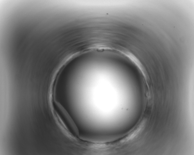 X0000089440909200706221227