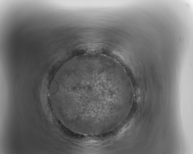 X0000089440913200706221226