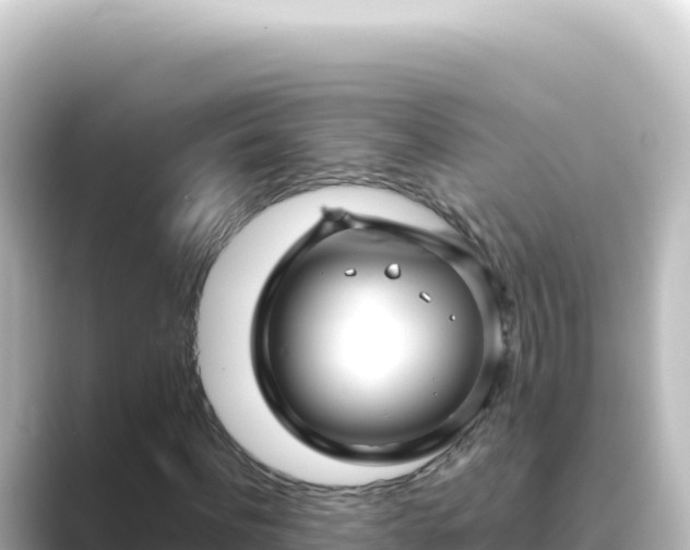 X0000089440916200706221226
