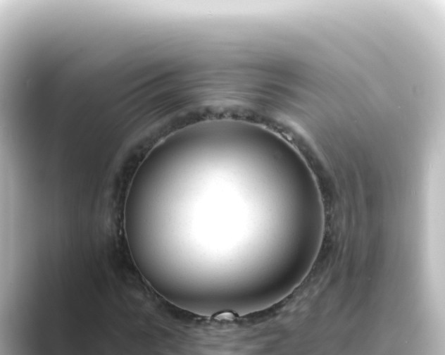 X0000089440919200706221226