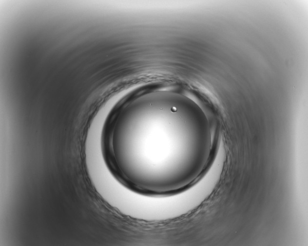 X0000089440920200706221226