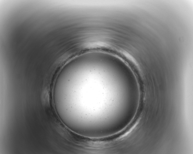 X0000089440921200706221226