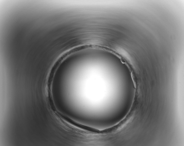 X0000089440924200706221226