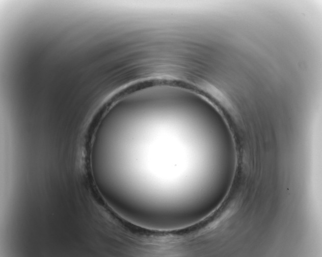 X0000089440926200706221226