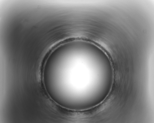 X0000089440927200706221226