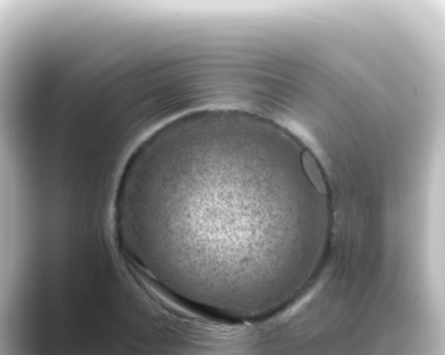 X0000089440928200706221226