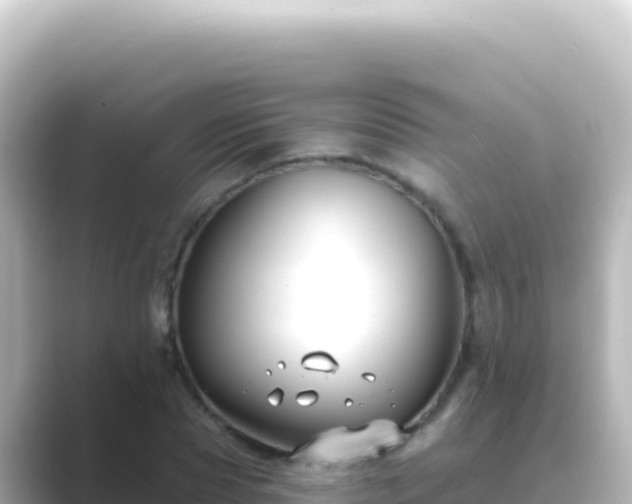 X0000089440929200706221226