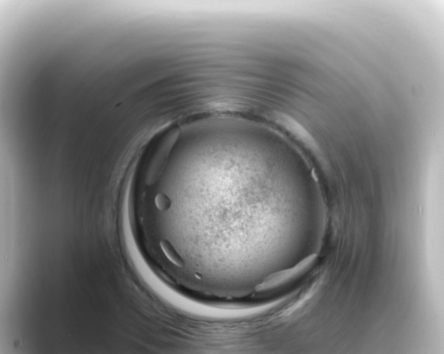 X0000089440930200706221226