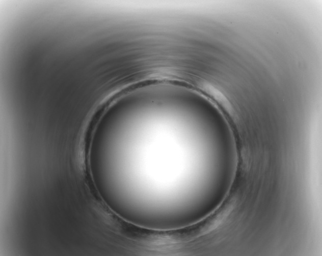 X0000089440931200706221226