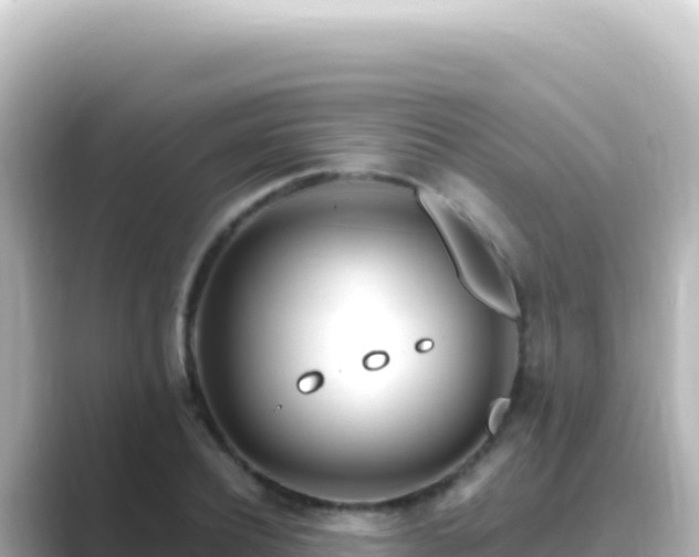 X0000089440932200706221226