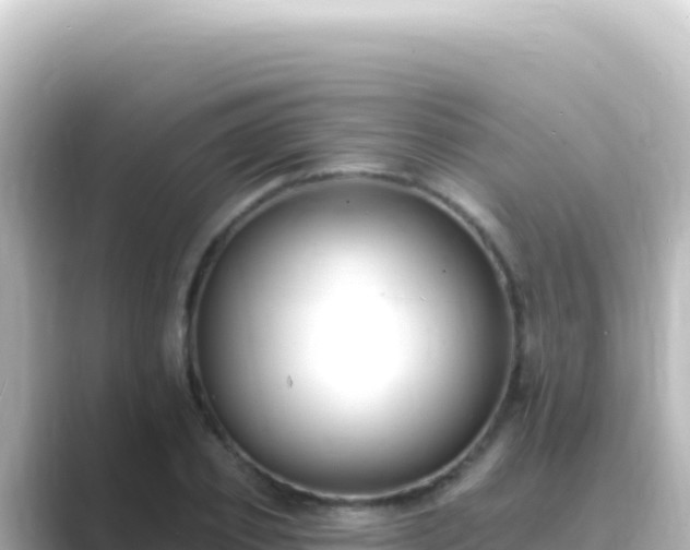 X0000089440933200706221226