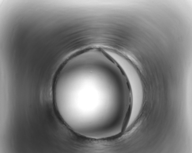 X0000089440934200706221226