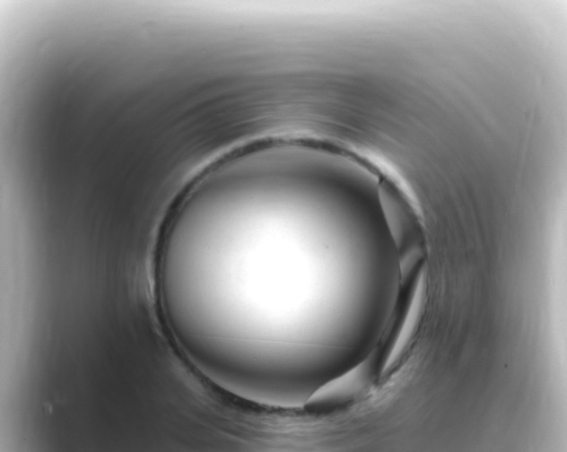 X0000089440935200706221226