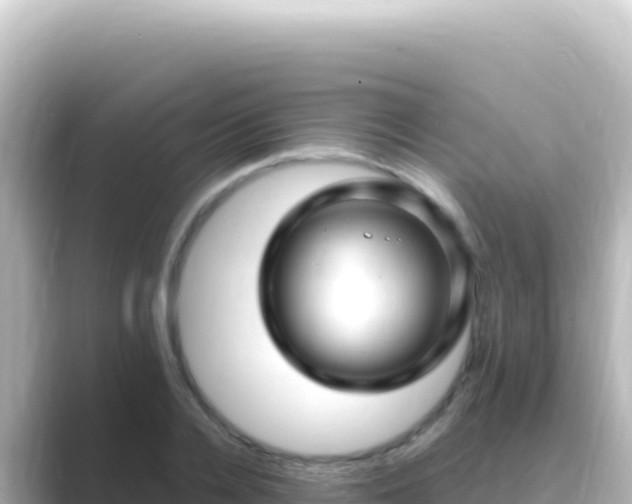 X0000089440936200706221226