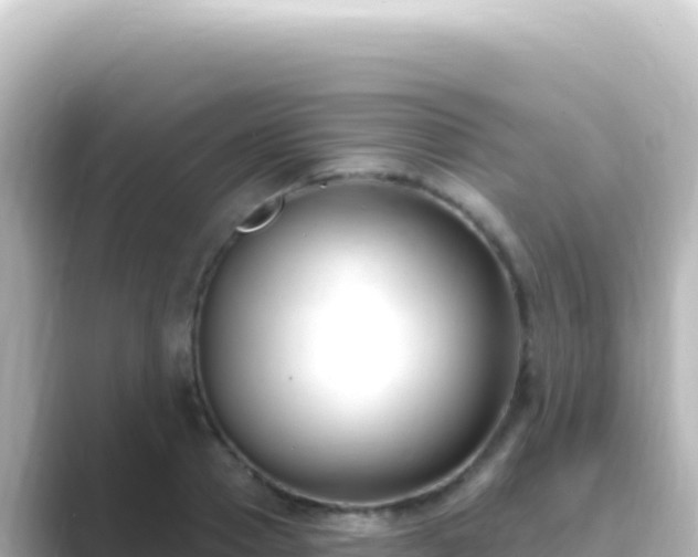 X0000089440937200706221226