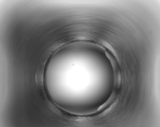 X0000089440938200706221226