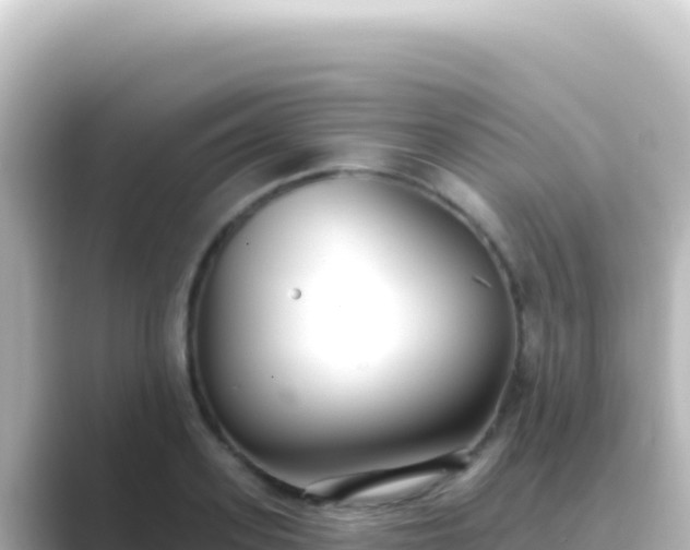 X0000089440939200706221226