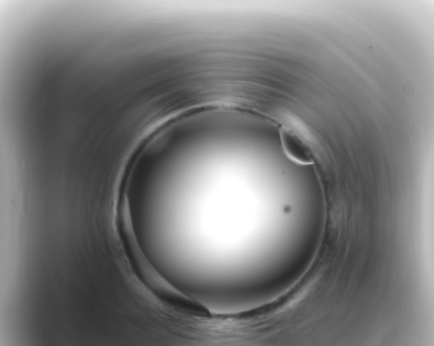 X0000089440940200706221226