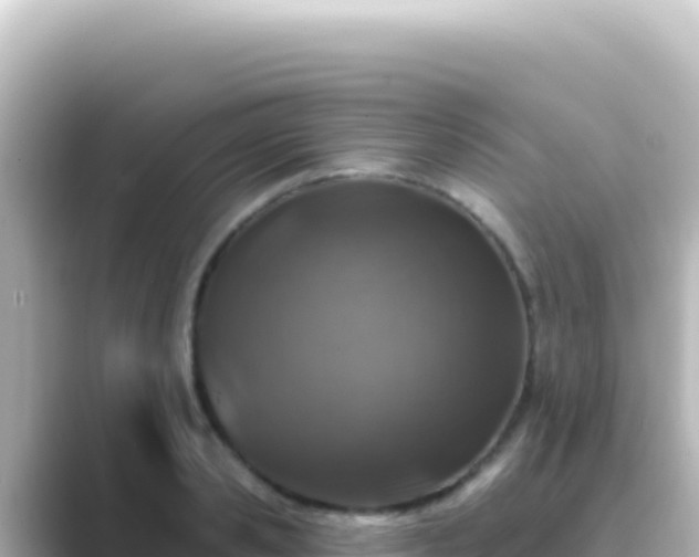 X0000089440941200706221226