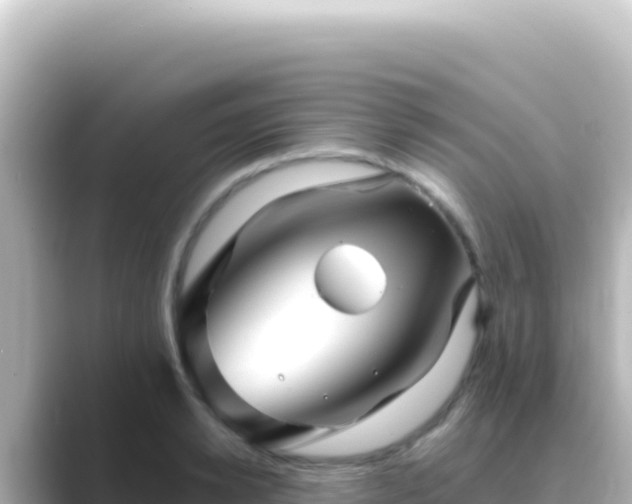X0000089440942200706221227