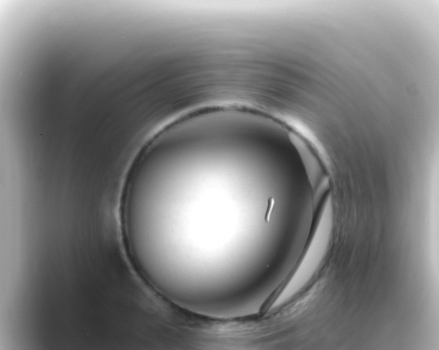 X0000089440943200706221227