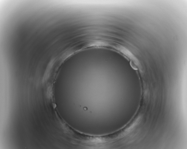 X0000089440945200706221227