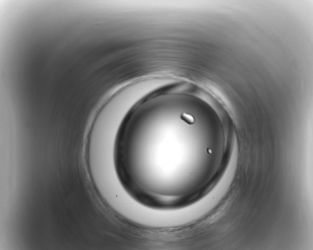 X0000089440948200706221227