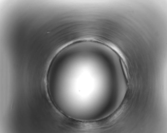 X0000089440951200706221227