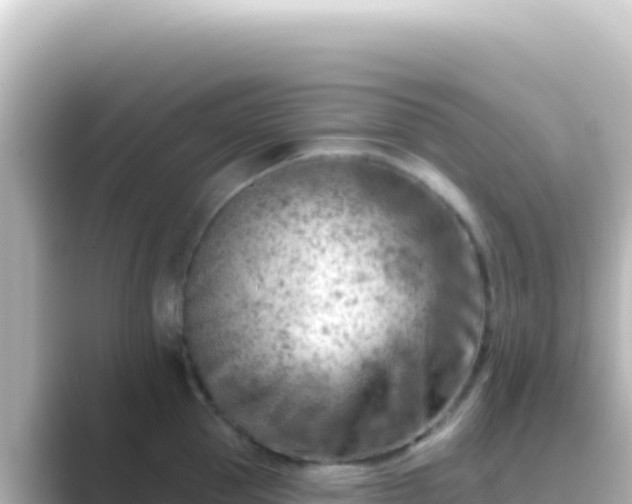 X0000089440953200706221227