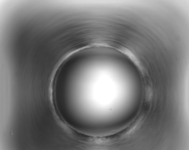 X0000089440955200706221227
