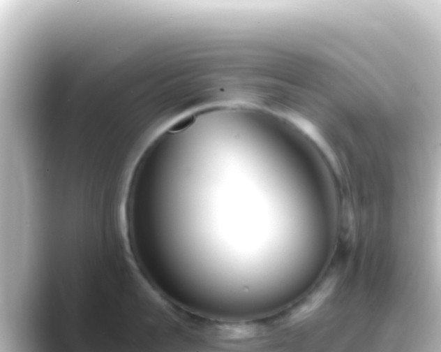 X0000089440959200706221227