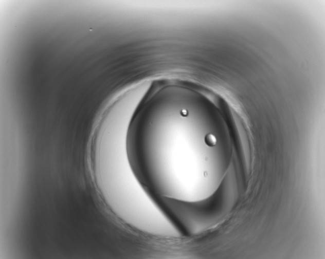 X0000089440960200706221227