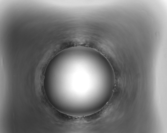 X0000089440961200706221226