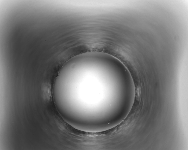 X0000089440963200706221226