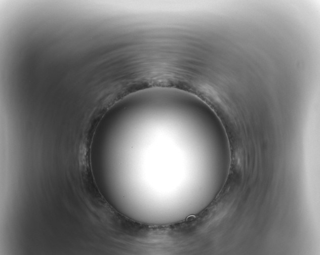X0000089440964200706221226